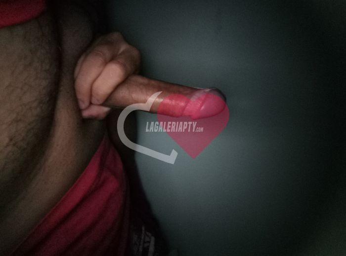 Fotografías de Junior  66618545, Escort en Panamá - 40649