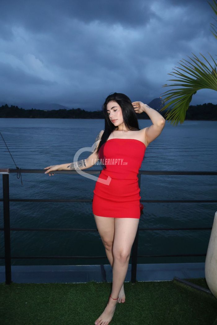 profile photo 41116 of Sofia, Call Girls Panama