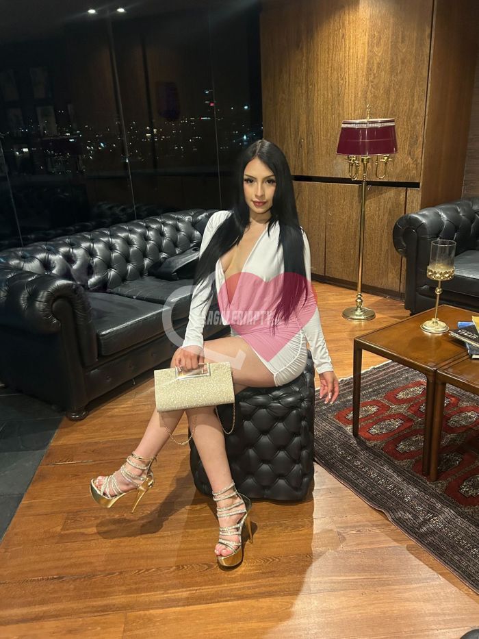 Fotografías de Camila Reyes 65855767, Escort en Panamá - 39645